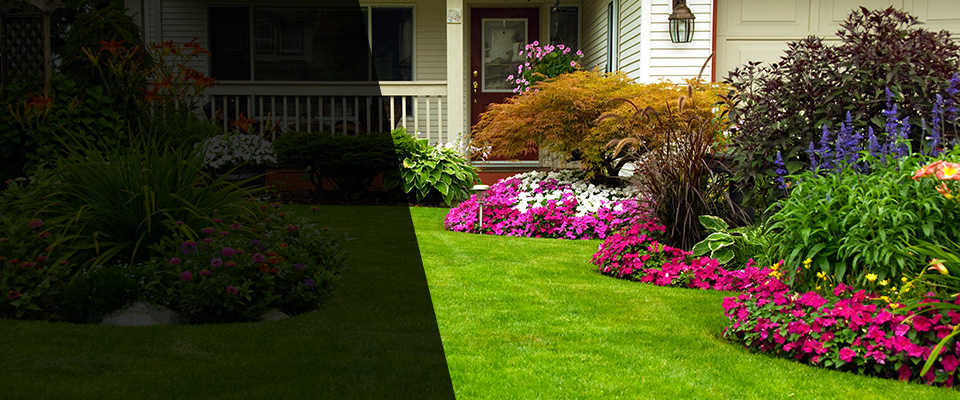 Purchase Landscapers