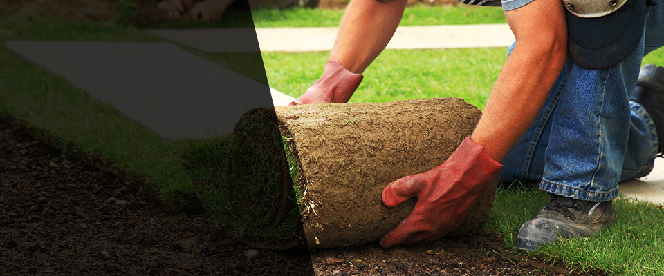 Purchase Landscapers